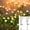 2Pack 12LED Warm White, variant on Solar Firefly Lights Swaying Outdoor Waterproof Decorative Lights for Yard Patio Pathway Lawn Decorations