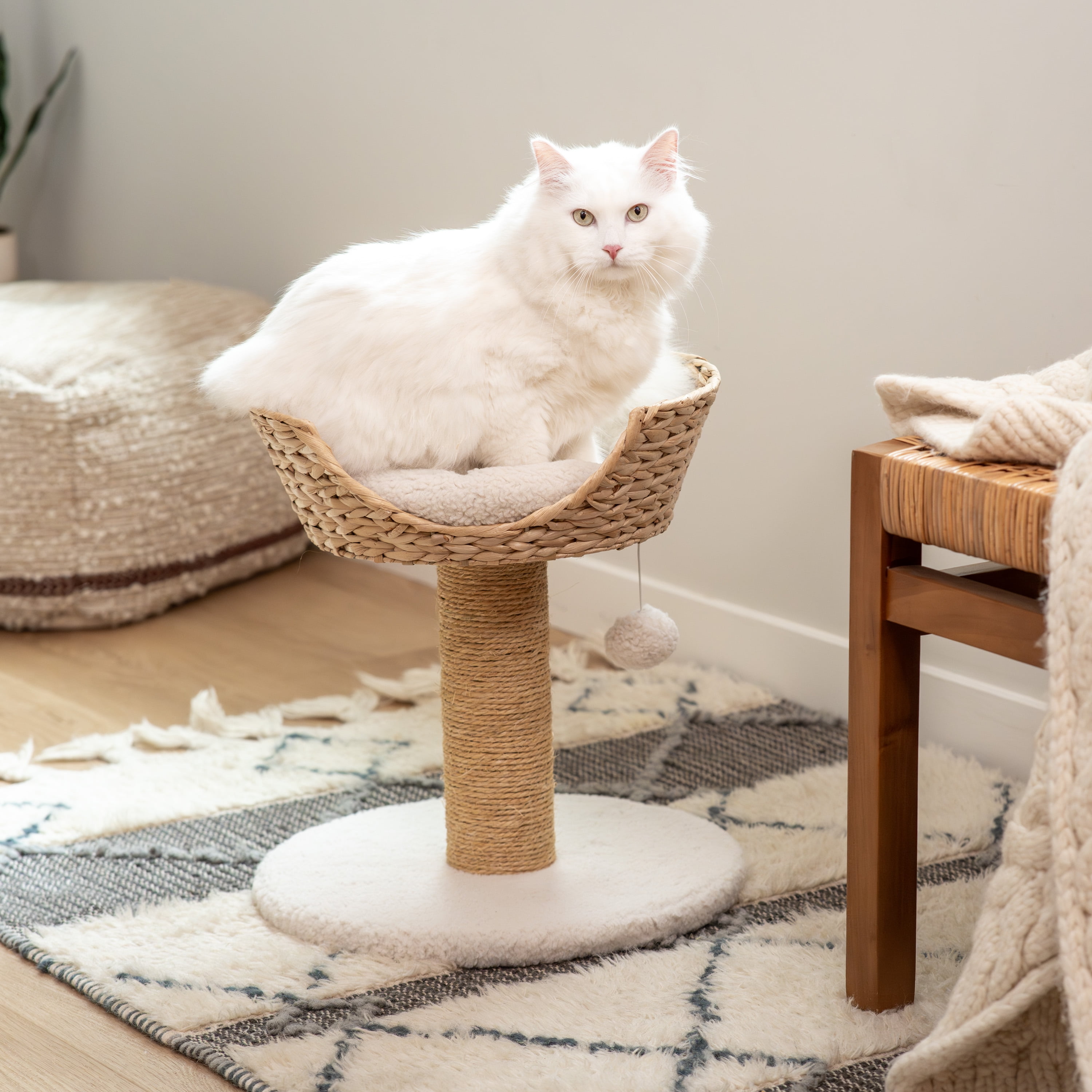 Harry Barker Deluxe Cat Scratcher Post with Wicker Bed for Cats Under 15 lbs
