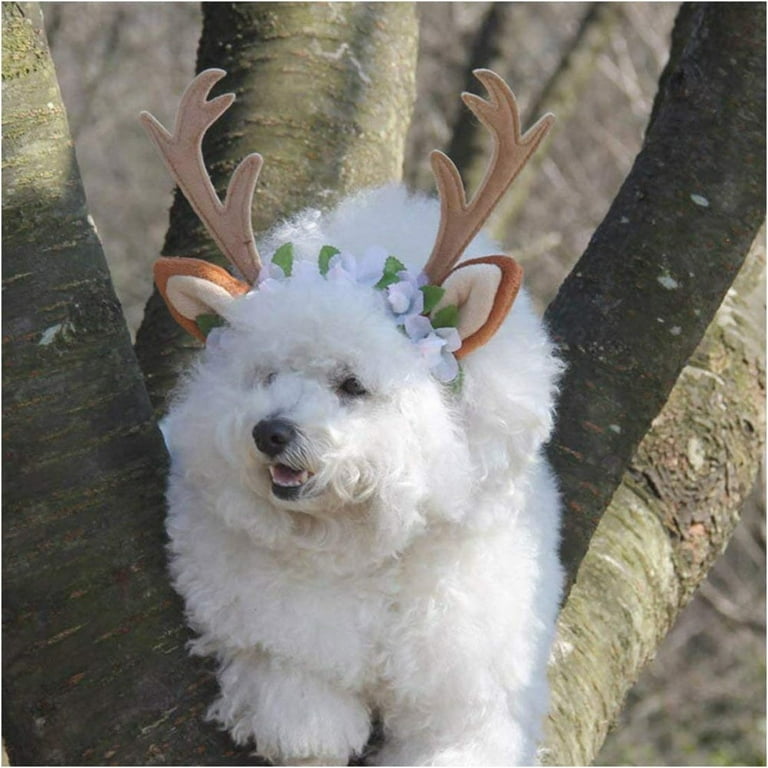Cat reindeer antlers 2025