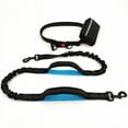 thumbnail image 4 of Training Dog Leash - Training Dog to Walk on a Leash, 4 of 10