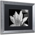 thumbnail image 2 of "Water Lily in Black and White" Canvas Art by Kurt Shaffer, Black Matte, Silver Frame, 2 of 4