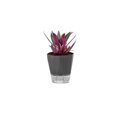 thumbnail image 1 of Macetas sin riego Macetas autoabsorbentes Macetas suculentas de orquídeas de balcón de plástico, 1 of 13