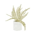 thumbnail image 2 of Bannarot 15x15 Gold Ornate Wood Framed with Double Matting Museum Art Print Titled - Potted Fern V, 2 of 4