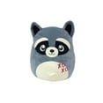 thumbnail image 1 of Walmart Private Label Raccoon Squishmallows Plush, 1 of 1