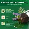 thumbnail image 4 of Chlorophyll Liquid Drops with Copper, Chlorophyll Supplement, Detox & Immune Support,Antioxidant & Digestion Support,2 fl oz, 4 of 7