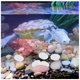 thumbnail image 4 of unbranded 100Ud Guijarros Para De Peces En Acuario Con Piedra Natural Pulida Y Durable, 4 of 6