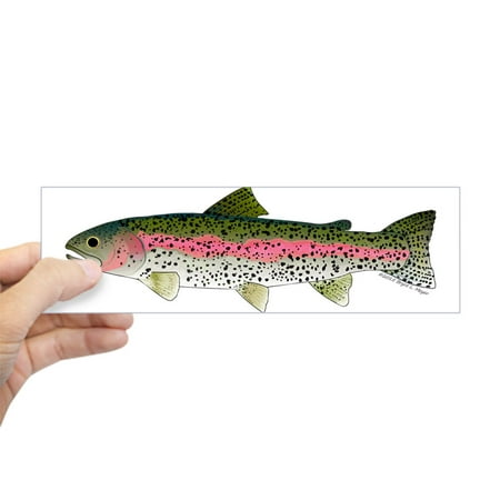 CafePress - Rainbow Trout - Stream Bumper Sticker - 10