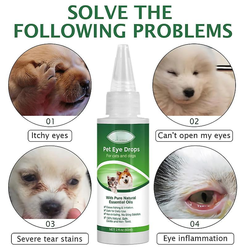 Puppy Home Remedy For Dog Eye Infection Dog Conjunctivitis Home
