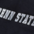 thumbnail image 3 of Youth Stadium Athletic Navy Penn State Nittany Lions Big Logo Pullover Hoodie, 3 of 3