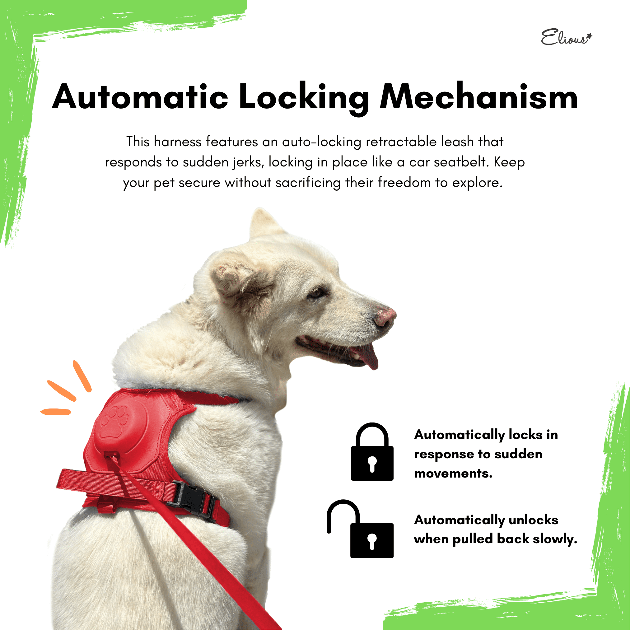 Dog harness with built in outlet leash