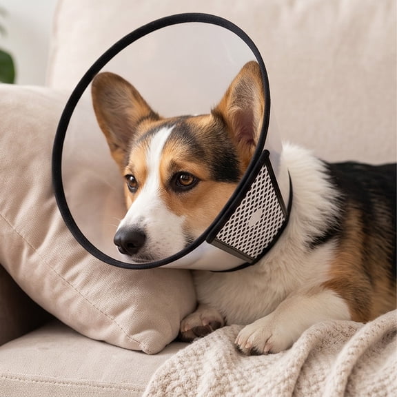 Transparent Pet Elizabethan Collar, Breathable Soft Mesh Recovery Cone for Dogs and Cats, Anti-Lick Wound Healing E-Collar, Size 11.8-13.4 Inches