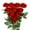 Red, variant on Morttic 12Pcs Artificial Silk Red Roses Flowers, Realistic Blossom Roses, Real Touch Silk Rose, Single Fake Flower Long Stem Bouquets for Christmas Home Wedding Party Decoration (12Pcs, Red)