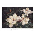 thumbnail image 1 of Sunset Marketing SUN2124 Bountiful Magnolia Poster Print by Barbara Shipman - 8 x 6, 1 of 1
