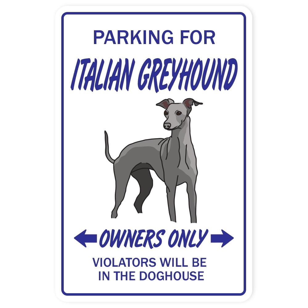 FREE SHIPPING Greyhound Dog Vinyl Die Cut Car Decal Sticker 