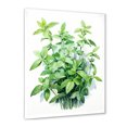 Designart "Fresh Mint Herbs I" Floral Framed Wall Art Traditional