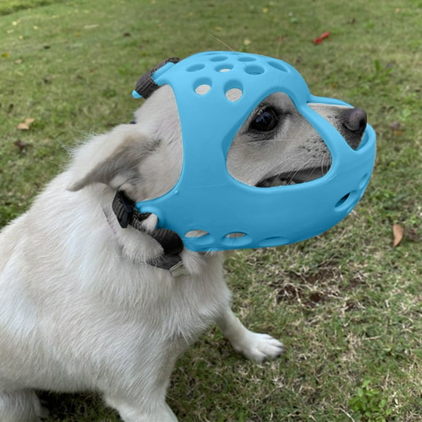 Dog muzzle walmart hot sale canada