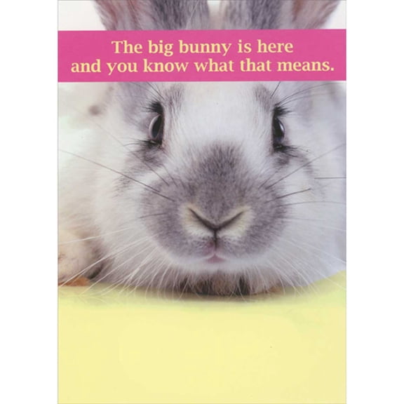 RSVP The Big Bunny is Here: You Know What That Means Funny Easter Card