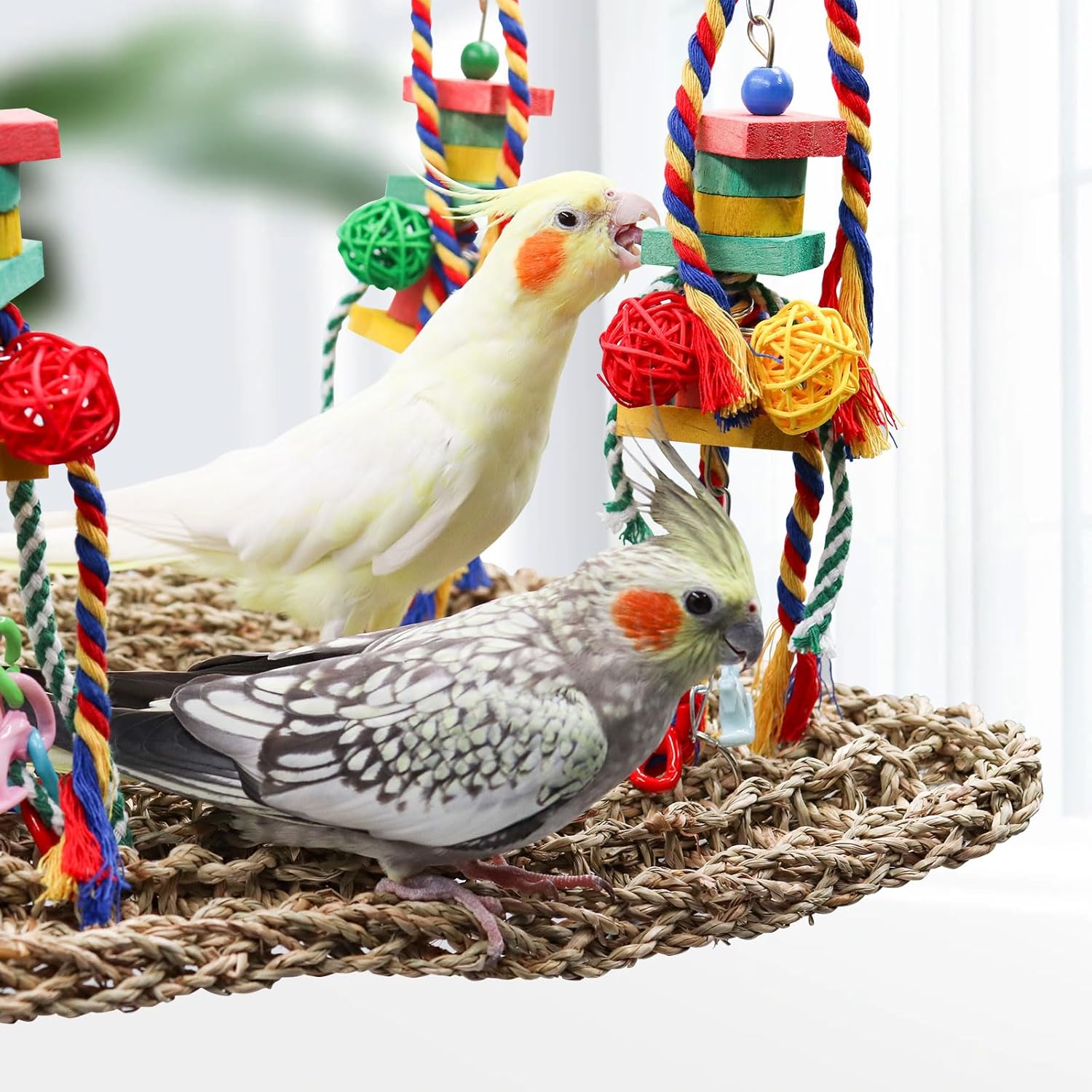Bird Swing Toys, Colorful Parrot Seagrass Mat Hammock with Blocks, Foraging Toy, Cage Accessories for Small to Medium Birds