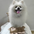 thumbnail image 5 of Pineapple Plush Dog Toy with Squeaker and Crinkle, Interactive Small Dog Toy for Play, Fun Squeaky Chew Toy for Pets(9.84*6.89in,Brown), 5 of 9