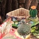 thumbnail image 5 of Plato de tazón de agua para alimentación de reptiles, tortugas, lagartos, decoración del hogar con Cactus, 5 of 9