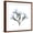 Brown Frame, variant on Art.com Soft Oleander Premium Giclee Print by Albert Koetsier, White Frame Wall Art, 21" x 21"