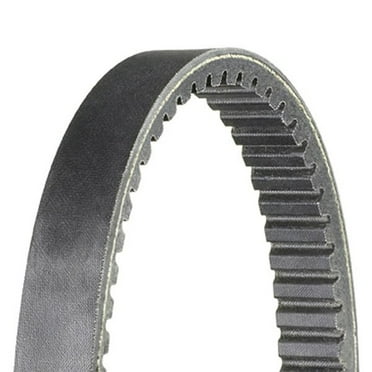 Dayco HP2037 HP High-Performance Belt