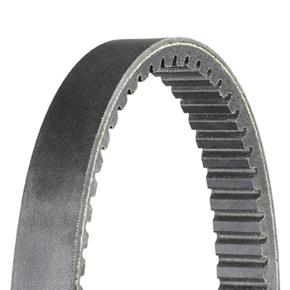 Dayco Atv/Utv Drive Belt