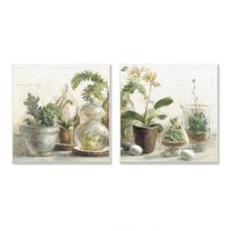 Stupell Industries Succulent House Plants Country Charm Green Brown Paintings Unframed Art Print Wall Art Set of 2, 12x12, by Danhui Nai