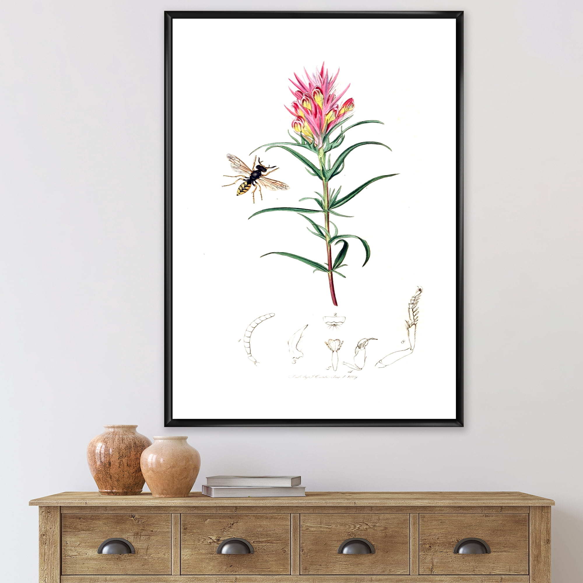 Designart 'Ancient Insects and Plants I' Farmhouse Framed Canvas Wall Art Print