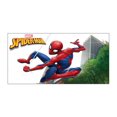 thumbnail image 3 of Spider-Man Bouteille Pressoir, 500ml /17oz, 3 of 3