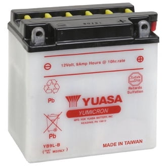 Yuasa YUAM728ZV Factory Activated Maintenance Free Battery, YTZ8V