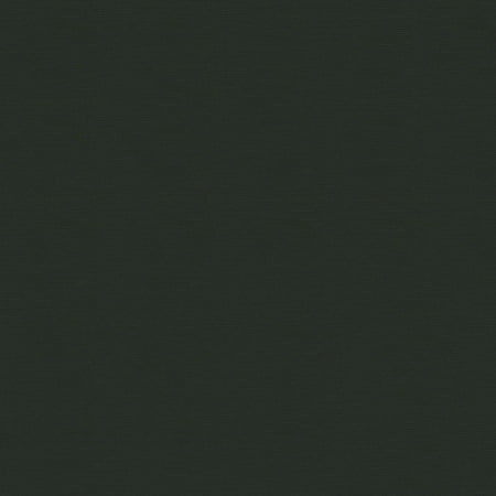 ABBEYSHEA - Sportlight 77 Black, Bag/Backpack Fabric, 58", 100% Nylon, Sample 9"X9"