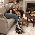 thumbnail image 5 of KUETH 2X10 Machine Washable Runner Rug, Low Pile Non-Slip Backing Carpet for Hallway, Kitchen and Bedroom, Pet-Friendly Vintage Floral Runner Rug, Beige, 5 of 7
