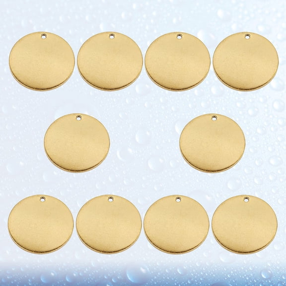 ELAYARD 10 Pcs Small Dog Name Tags Stainless Steel ID Tags for Dogs and Puppies Identification