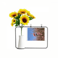 thumbnail image 1 of sp flower bud photography artificial sunflower vases bottle blessing card, 1 of 3