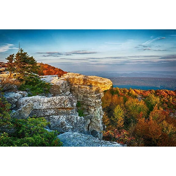 Iconic Arts Laminated 36x24 Poster: Canaan Valley, West Virginia Stephen L Tabone Nature Photography