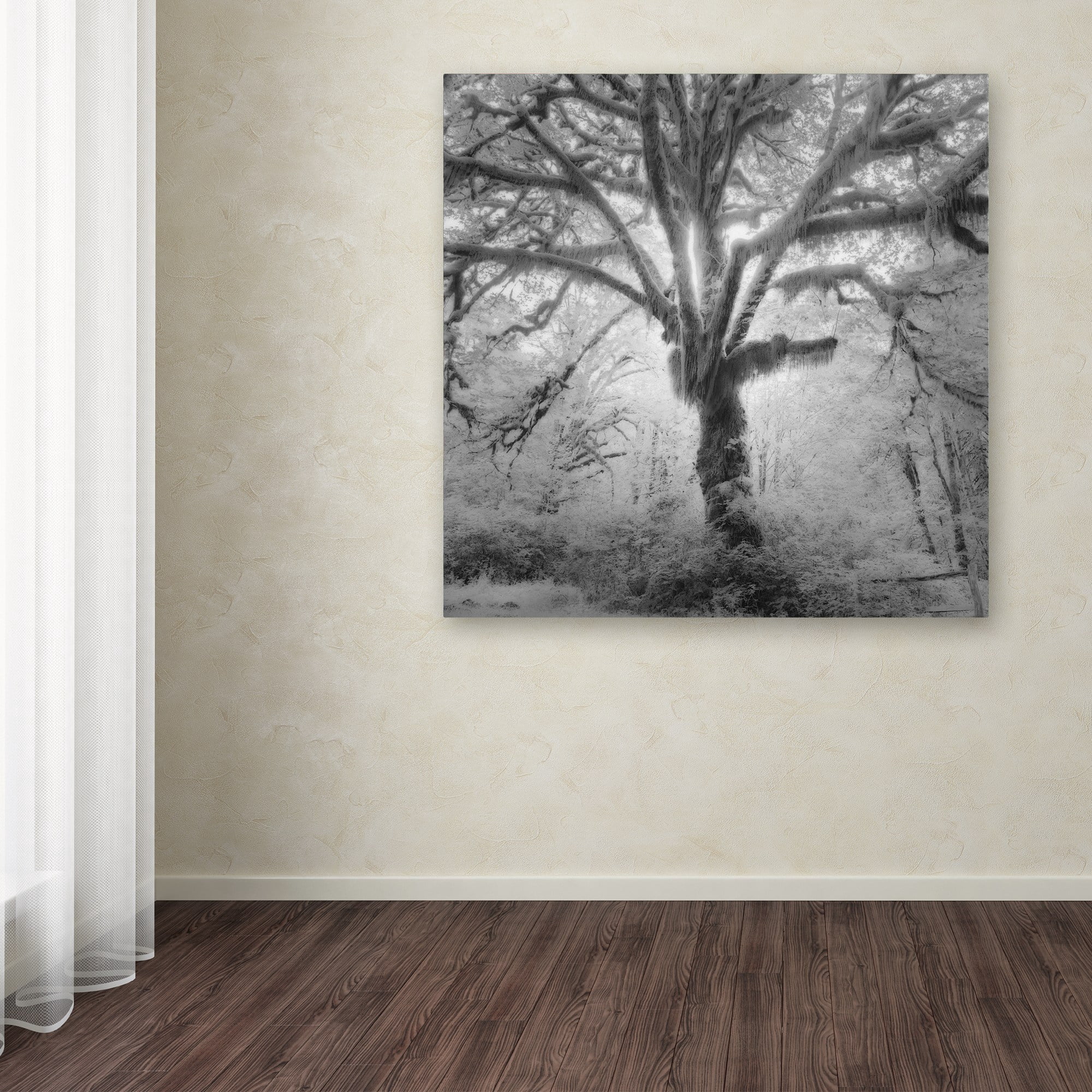 Moises Levy 'Lightning Tree II' Canvas Art