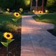 thumbnail image 5 of Paquete De 2 Luces Solares Para Jardín, Girasol, Estaca De Flores Resistente Al Agua Para Patio Exterior, Césped, Iluminación Decorativa Muyoka Hogar, 5 of 7