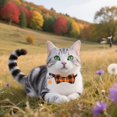thumbnail image 3 of Mumup 2Pack Christmas Cat Collars Breakaway with Stylish Bow, 2 Pack Red Green Plaid Xmas Kitten Collar with Bell, Removable Bowtie Christmas Collar for Cats, 3 of 6