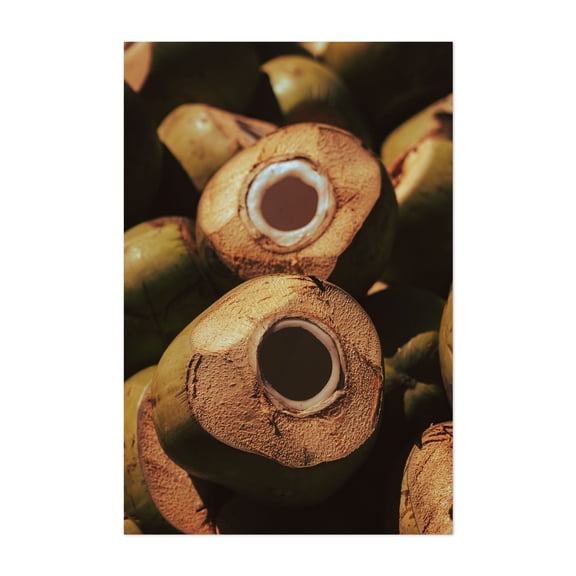 Coconut - Photography Unframed Wall Art Print 4 x 6 inches
