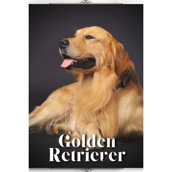 Golden Retriever : Dog Breed guide (Paperback)