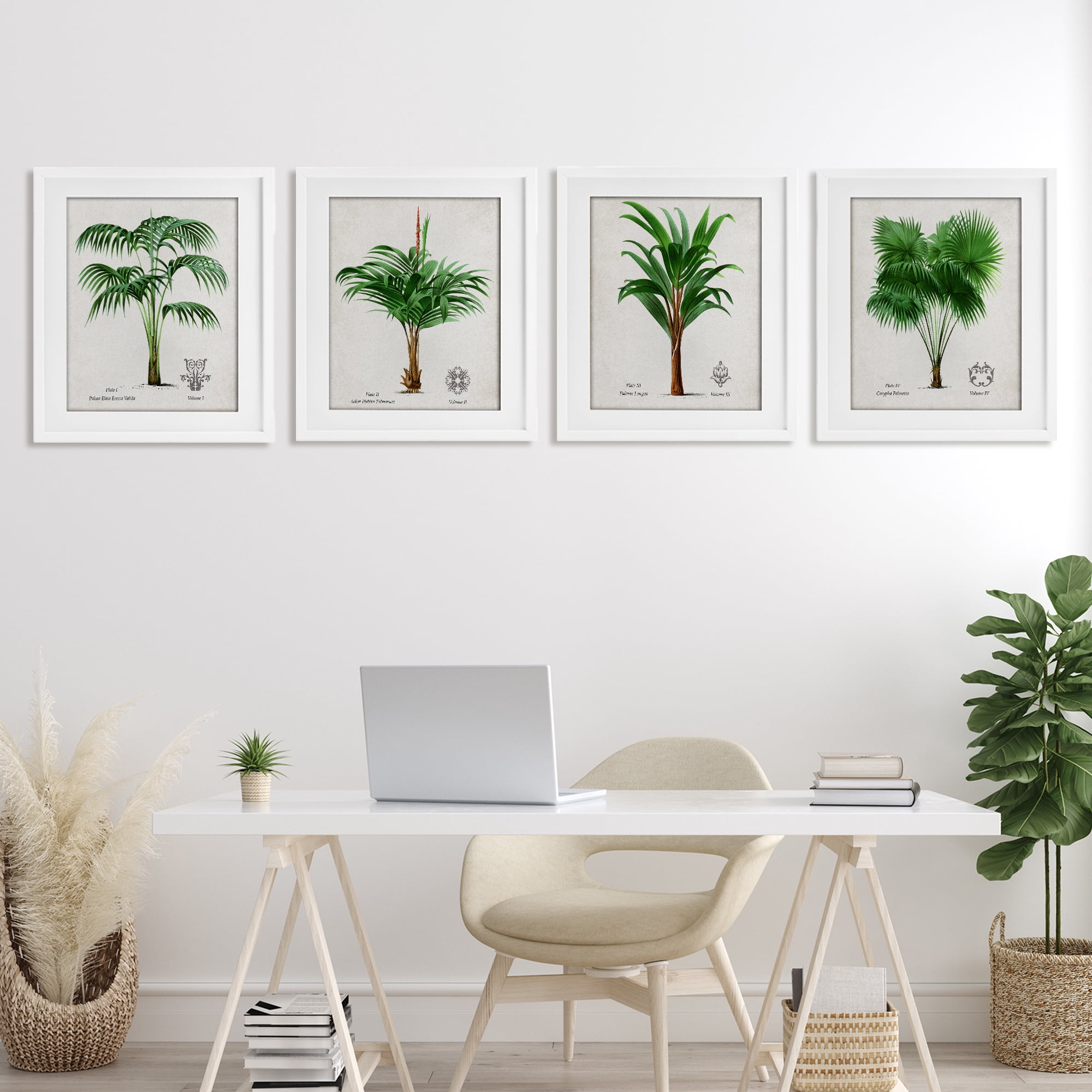Stupell Industries Palm Varieties Studies 4 Piece White Framed Print Under Glass Set, design by Natalie Carpentieri