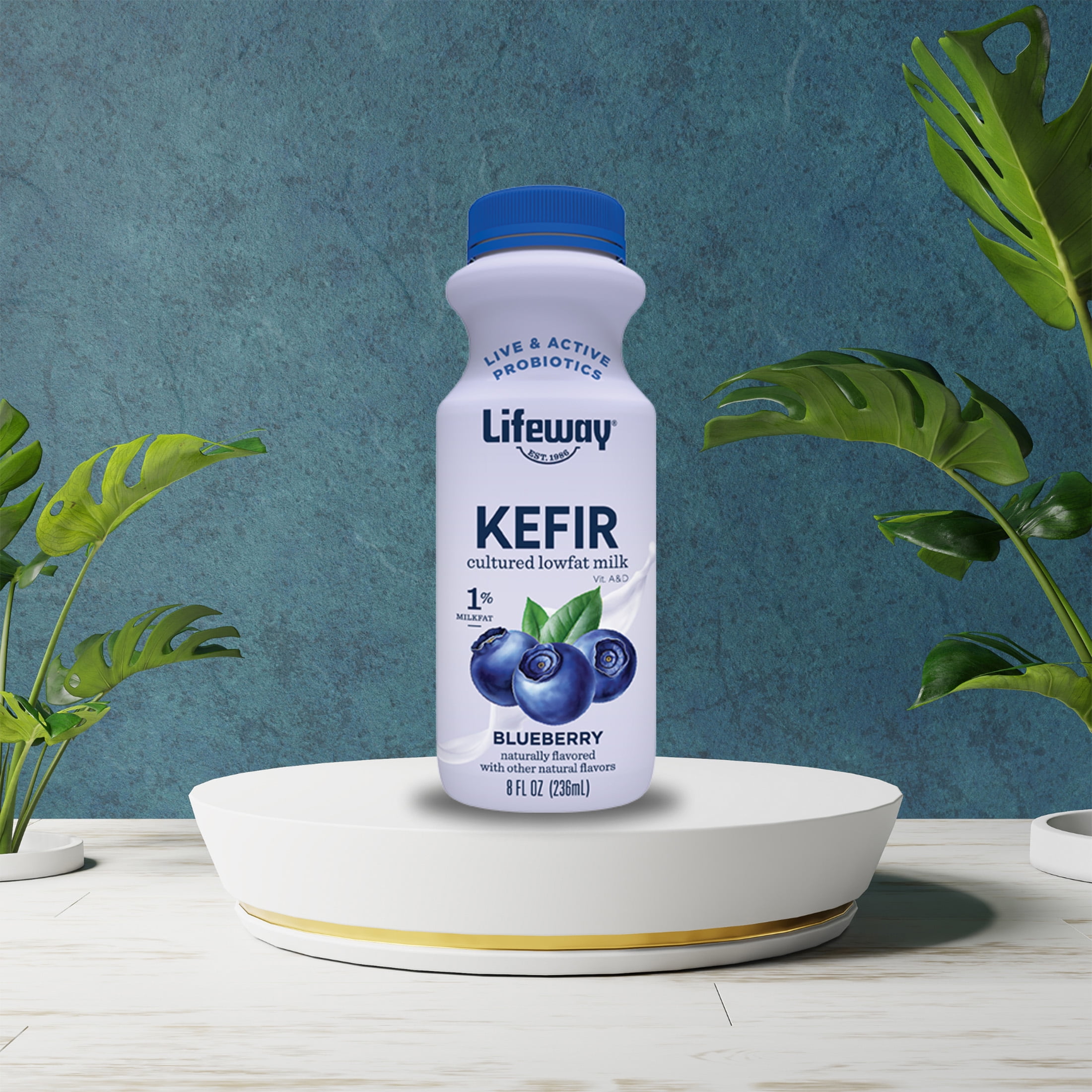 Lifeway Low Fat Milk Kefir,  Blueberry  8 fl oz bottle