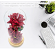 thumbnail image 2 of Rosa Flor Artificiales Eterna Roja Regalo 3 Rosas Con 25 Led Xtellar rojo, 2 of 3
