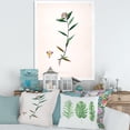 thumbnail image 3 of Designart 'Ancient Botanicals XIX' Farmhouse Framed Art Print, 3 of 4
