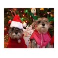 thumbnail image 4 of Sombrero de Navidad, sombrero para mascota de Halloween para gato, perro, gorros para cachorros, regalo de Año Nuevo, Papá Noel, invierno, Cosplay, suministros para perros y gatos, gran oferta, 4 of 4