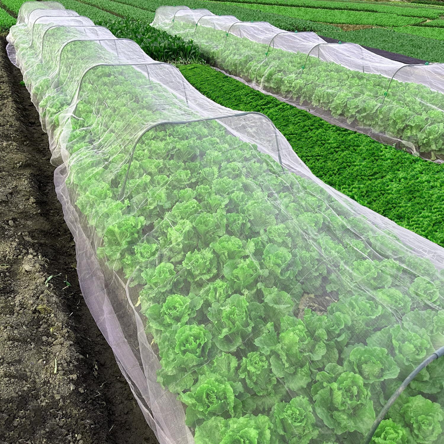 Garden Netting 9.8x49FT Fine Mesh, Barrier Bird Netting for Garden Protection, Garden Net for Protecting Plants Vegetables Flowers Fruits