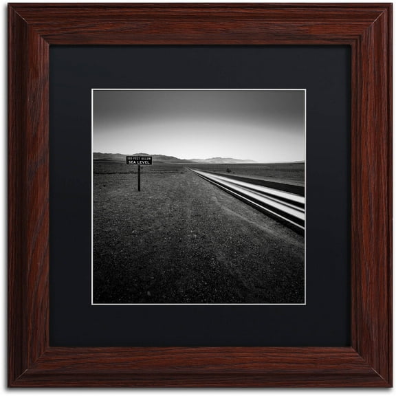 Trademark Fine Art "Low" Canvas Art by Dave MacVicar, Black Matte, Wood Frame