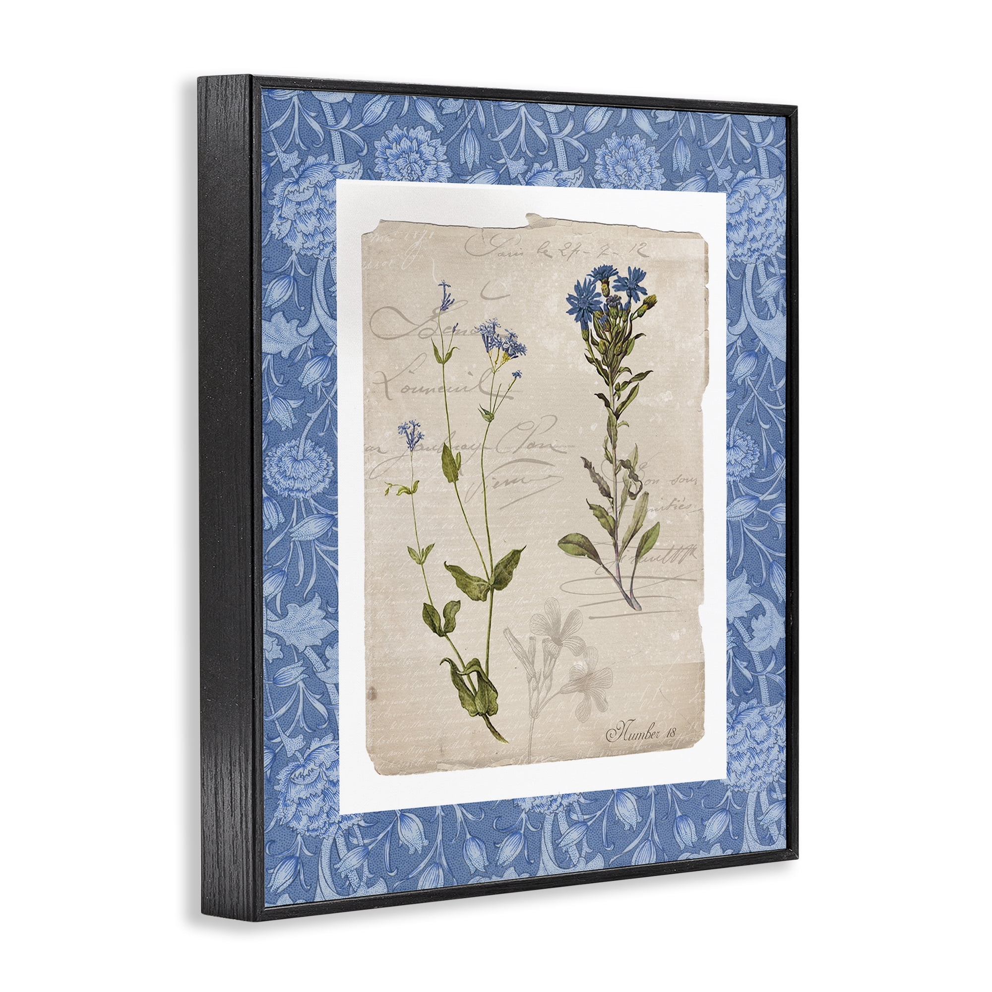 Stupell Industries Blue Vintage Botanicals Black Framed Giclee Art, design by Livi Finn