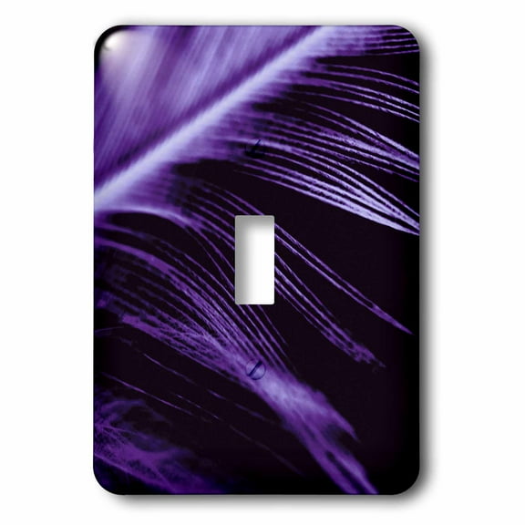 3dRose, Close Up Of Purple Feather, single toggle switch